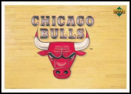 134 Bulls Logo